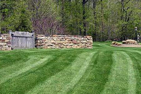 Kimball Landscaping & Irrigation